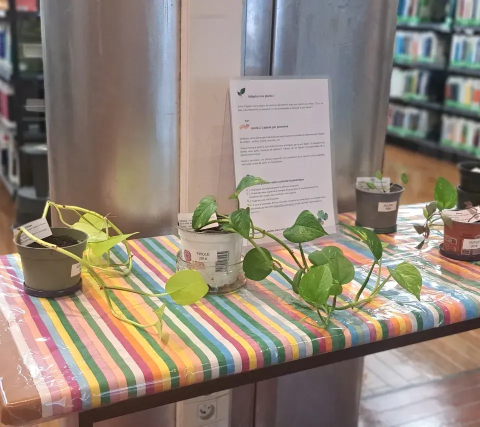 Table proposant des boutures de plantes à donner