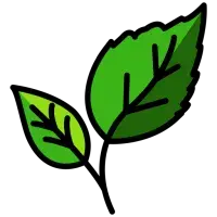 pictogramme de feuilles vertes