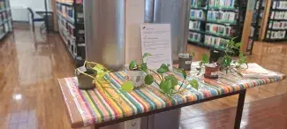 Table proposant des boutures de plantes à donner